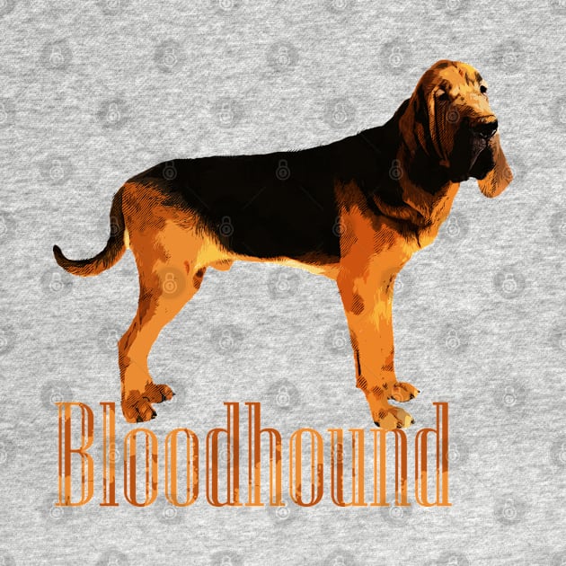 Bloodhound by Nartissima